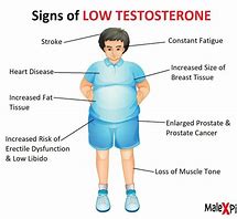 When testosterone ebbs, the signs are clear, A whisper of strength that once was near. Libido fades, desire wanes, Erections falter, causing pains.
Fatigue sets in, a constant drain, Muscle mass begins to wane. Body fat starts to increase, Mood swings disrupt inner peace.
Bones grow brittle, hair may thin, Hot flashes strike from deep within. Testicles shrink, a subtle clue, these signs reveal what low T can do.